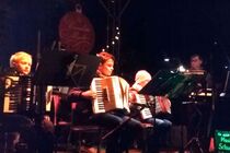 Auftritt Weihnachtsmarkt Canaletto in Pirna